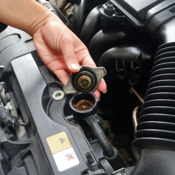 Import Car Cooling System Repair